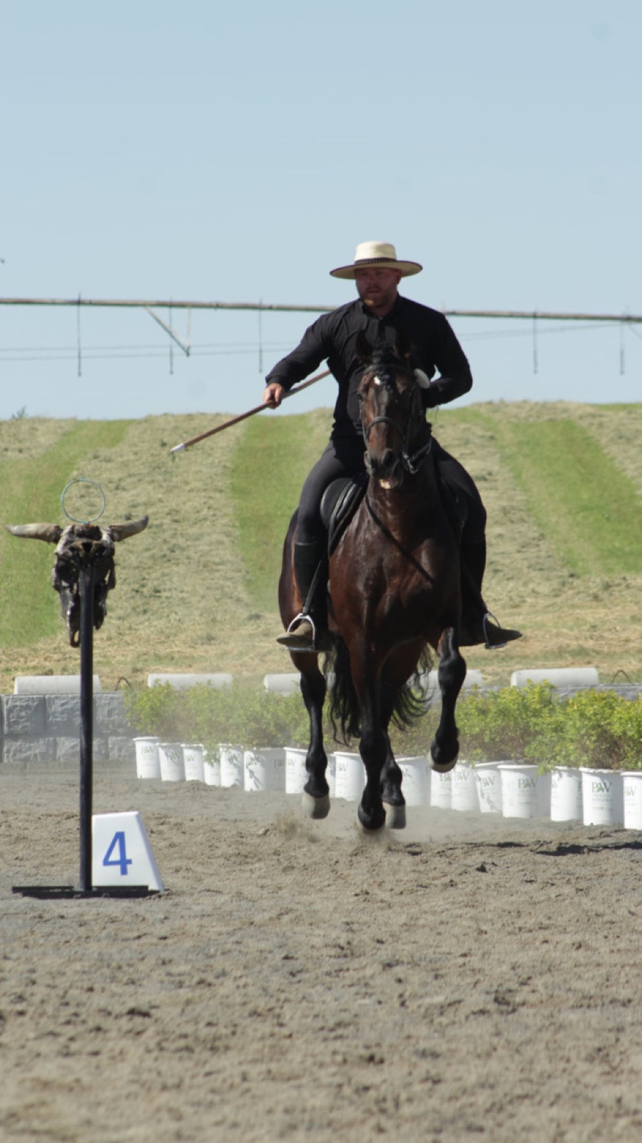 Horse and rider cantering toward an obstacle carrying a long pole, the garrocha